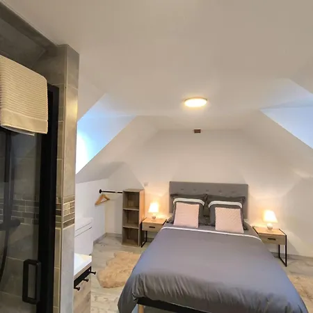 Gite Bonheur Et Charme Spa-Sauna Forfait 2H Inclus Kintzheim Buitenkant foto
